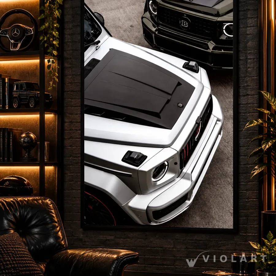 Brabus Duo tablosu salon duvarında, siyah çerçeveli